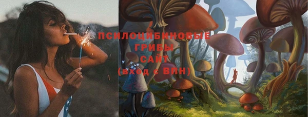 первитин Белоозёрский