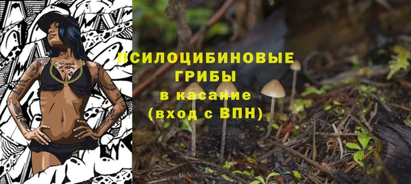 первитин Белоозёрский